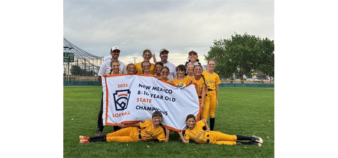 2025 Minor Softball District and State Champions!